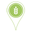 Agri/Flower/Fruit Fests